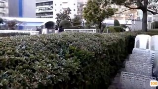 日本高清www色视频-免费在线观看-日韩中文字幕